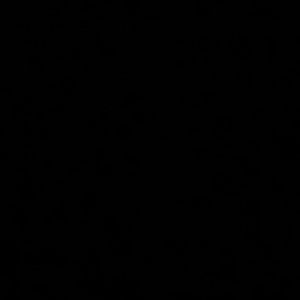 Meet your Posher, Sky